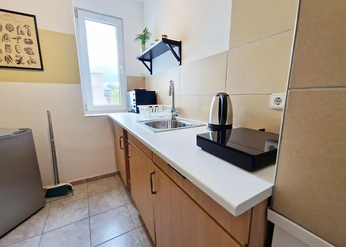 Spacious&cozy Apartament